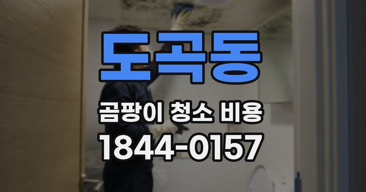 도곡동 곰팡이 청소 비용