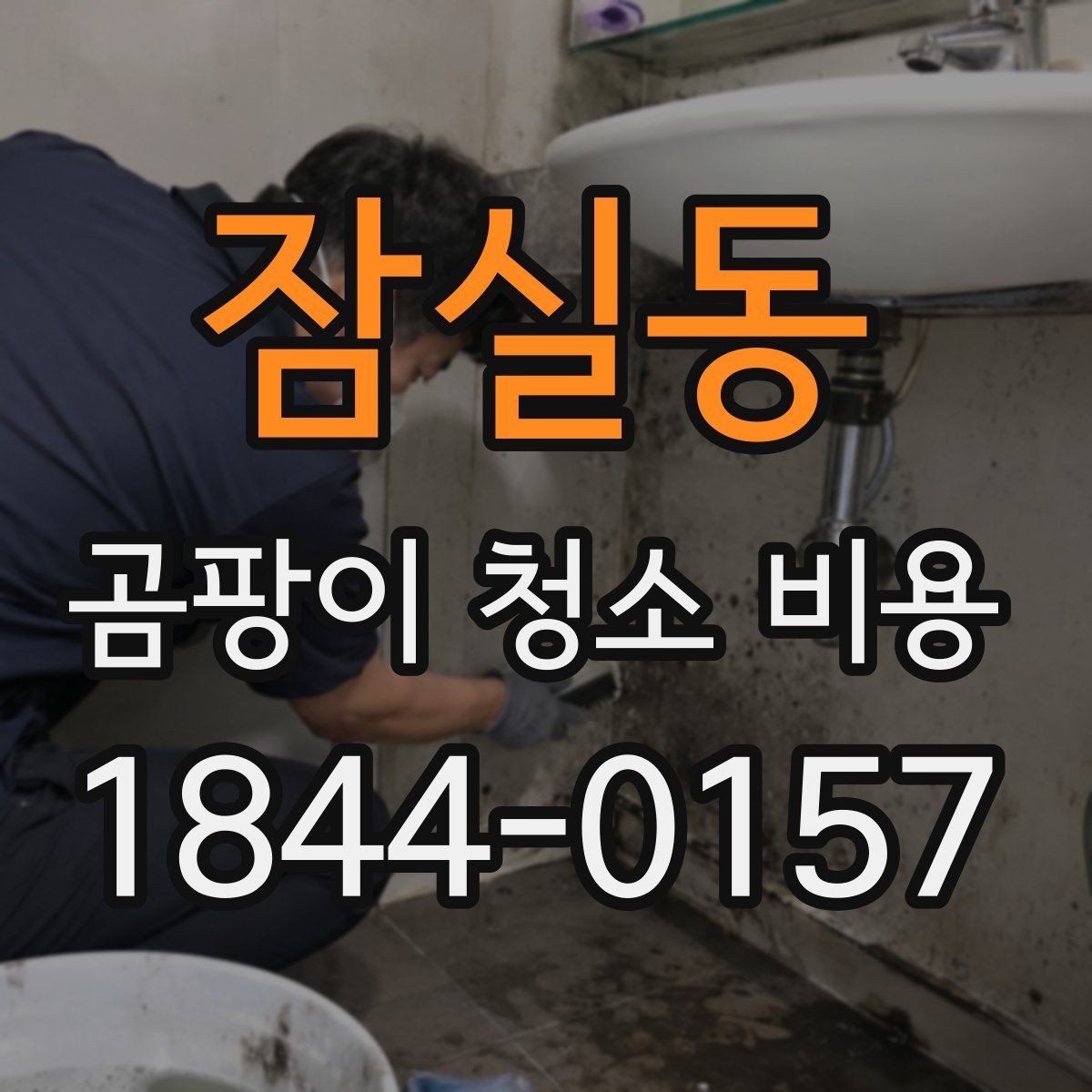 잠실동 곰팡이 청소 비용 붙박이장 내부 오염이 넓을 때 살펴볼 점