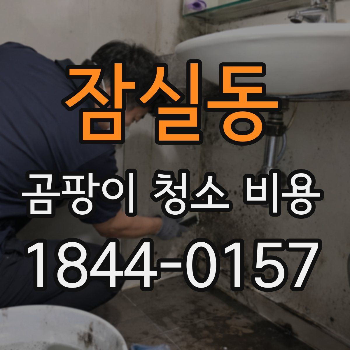 잠실동 곰팡이 청소 비용