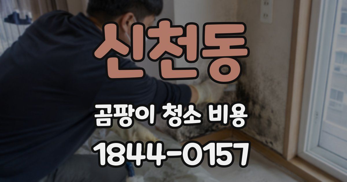 신천동 곰팡이 청소 비용