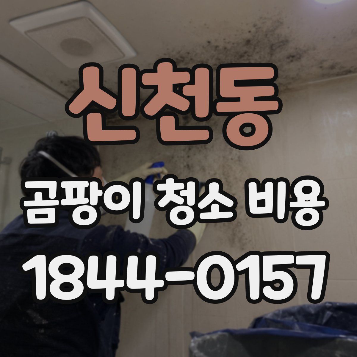 신천동 곰팡이 청소 비용