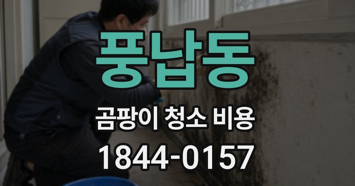풍납동 곰팡이 청소 비용