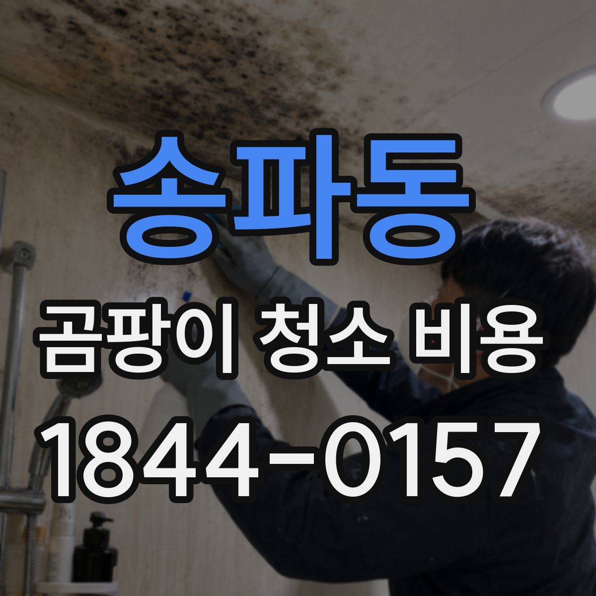 송파동 곰팡이 청소 비용