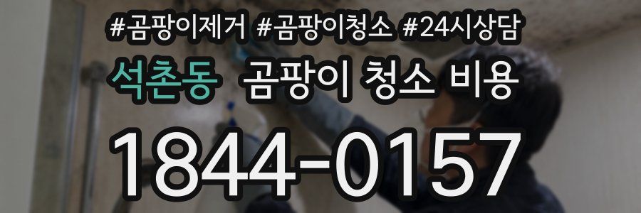 석촌동 곰팡이 청소 비용