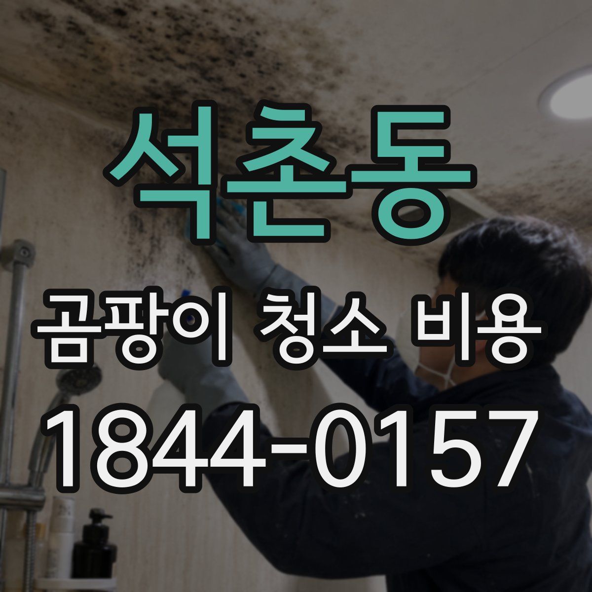 석촌동 곰팡이 청소 비용