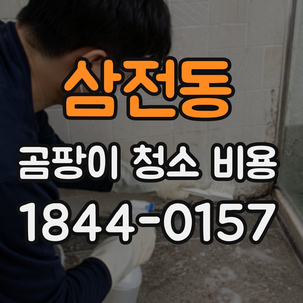 삼전동 곰팡이 청소 비용