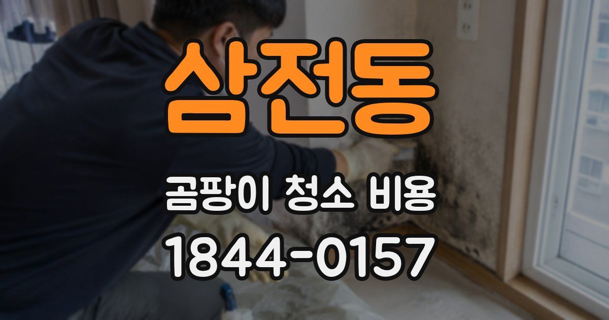 삼전동 곰팡이 청소 비용