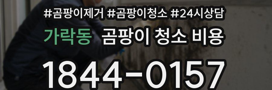 가락동 곰팡이 청소 비용