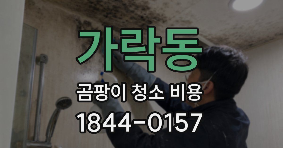 가락동 곰팡이 청소 비용