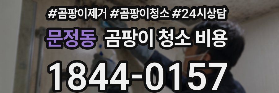 문정동 곰팡이 청소 비용