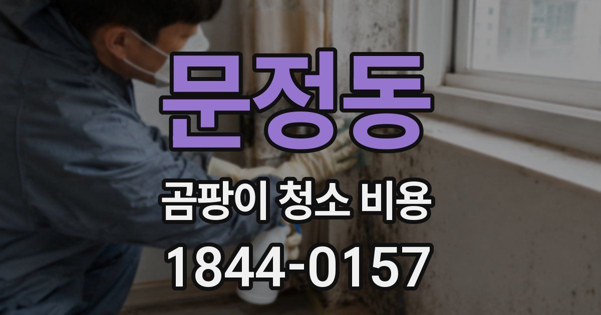 문정동 곰팡이 청소 비용