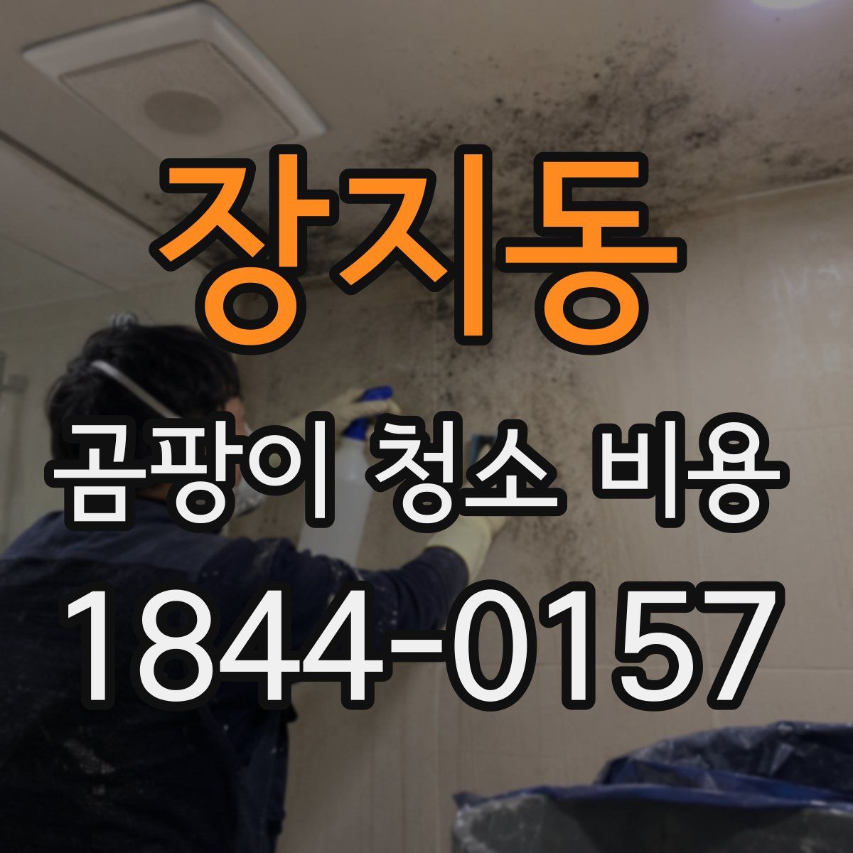 장지동 곰팡이 청소 비용