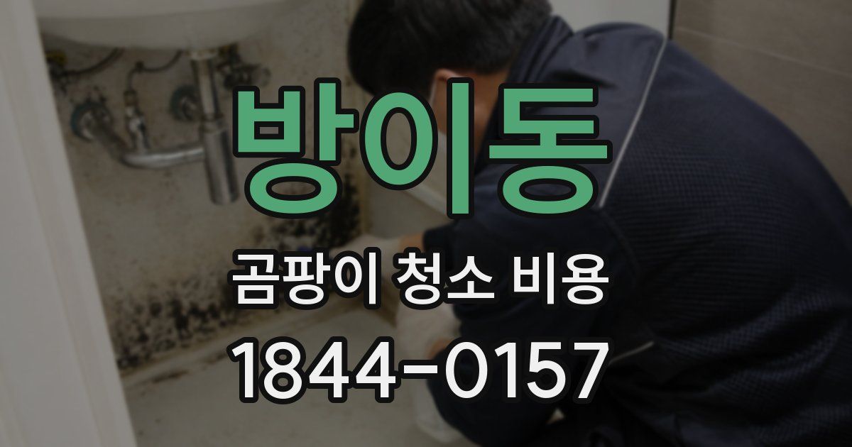 방이동 곰팡이 청소 비용