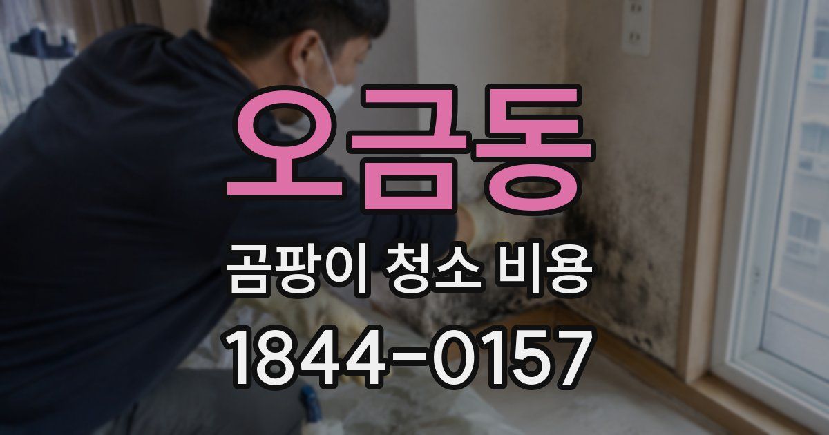 오금동 곰팡이 청소 비용