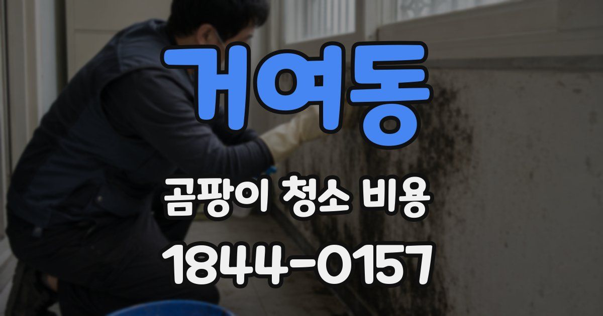 거여동 곰팡이 청소 비용
