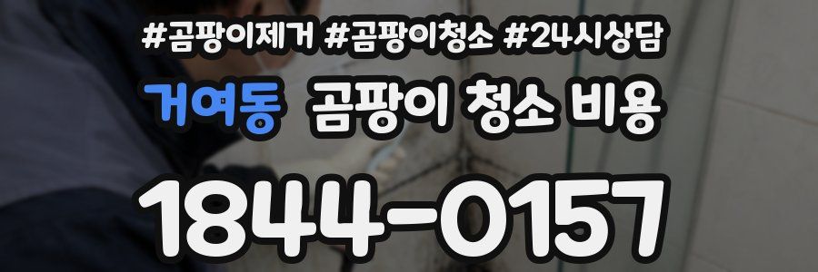 거여동 곰팡이 청소 비용