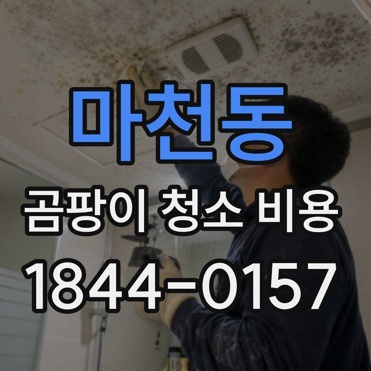 마천동 곰팡이 청소 비용
