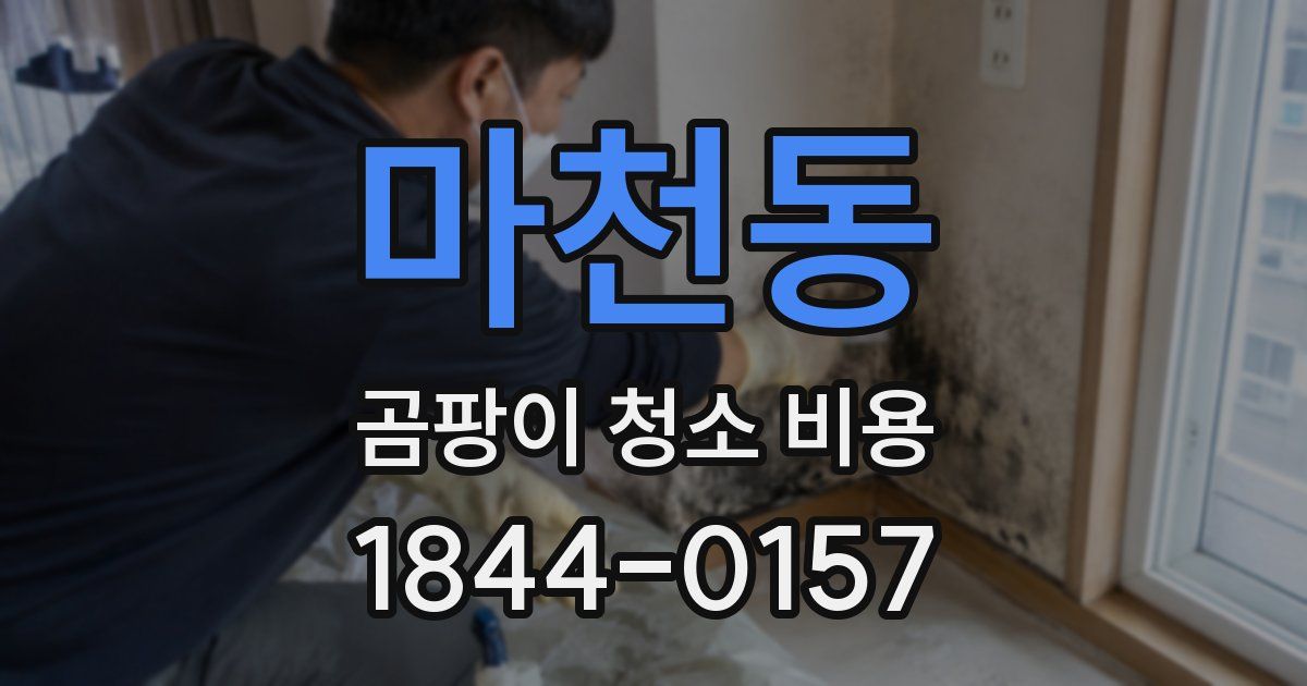 마천동 곰팡이 청소 비용