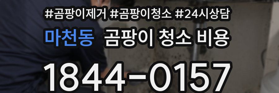 마천동 곰팡이 청소 비용