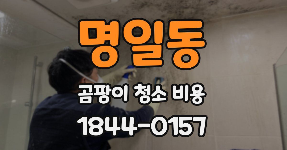 명일동 곰팡이 청소 비용