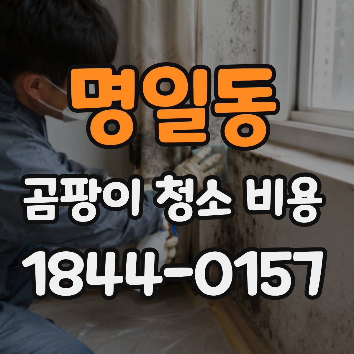 명일동 곰팡이 청소 비용