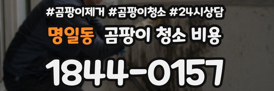 명일동 곰팡이 청소 비용