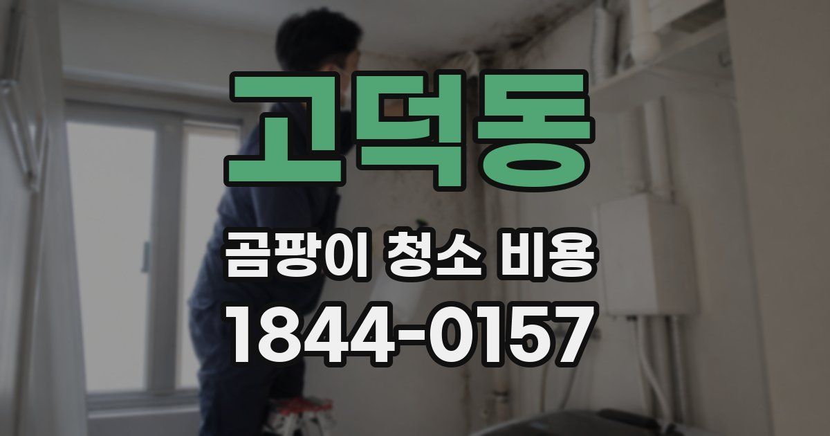 고덕동 곰팡이 청소 비용