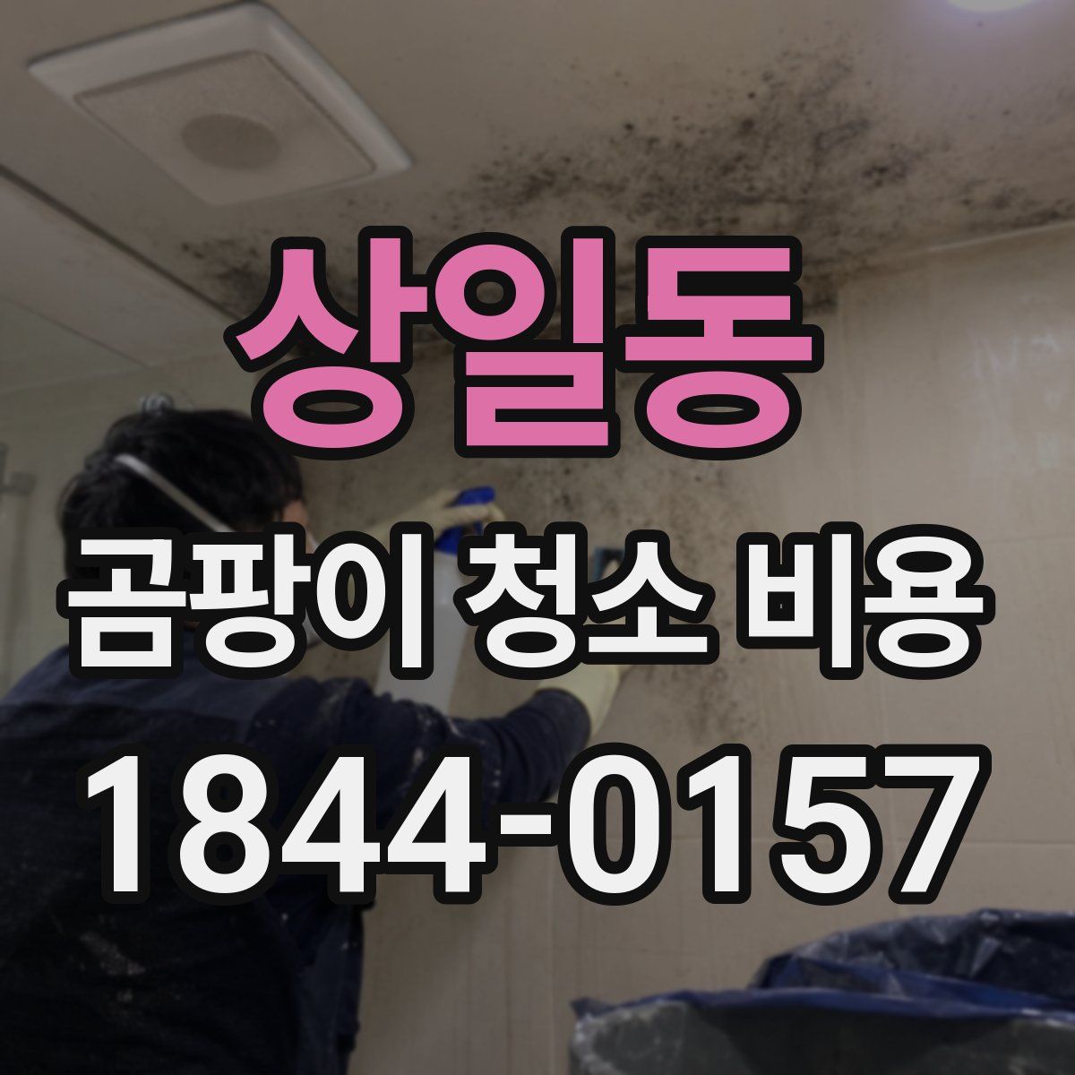 상일동 곰팡이 청소 비용