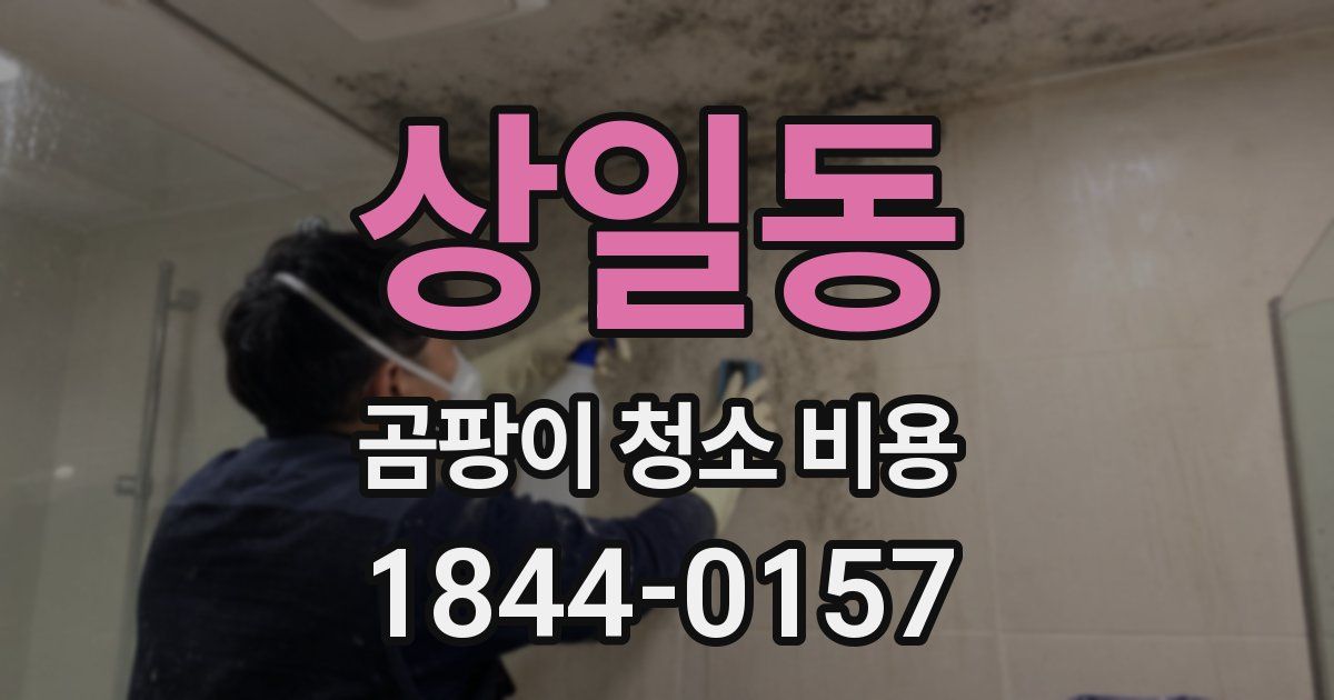 상일동 곰팡이 청소 비용