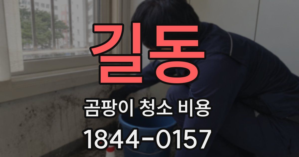 길동 곰팡이 청소 비용