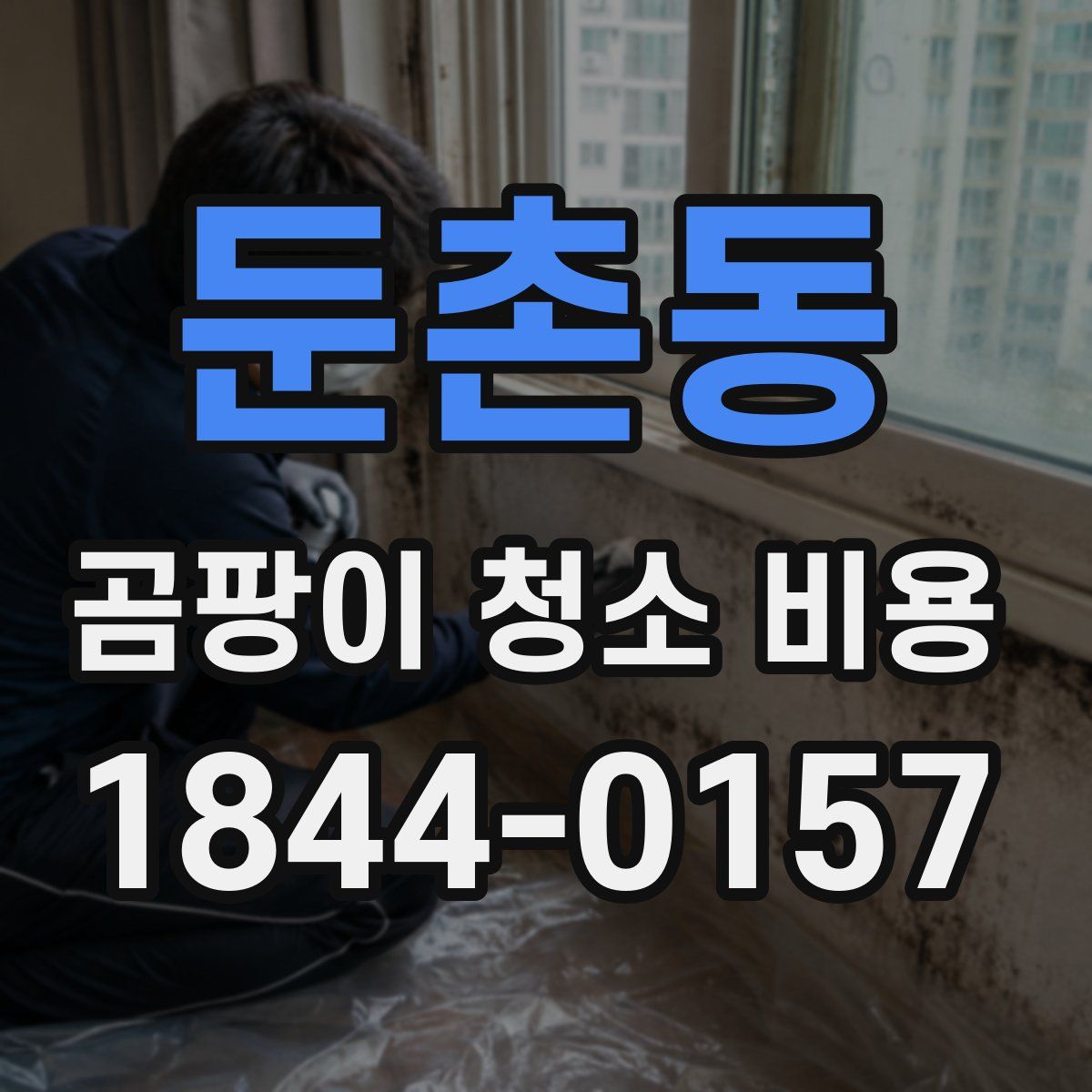 둔촌동 곰팡이 청소 비용