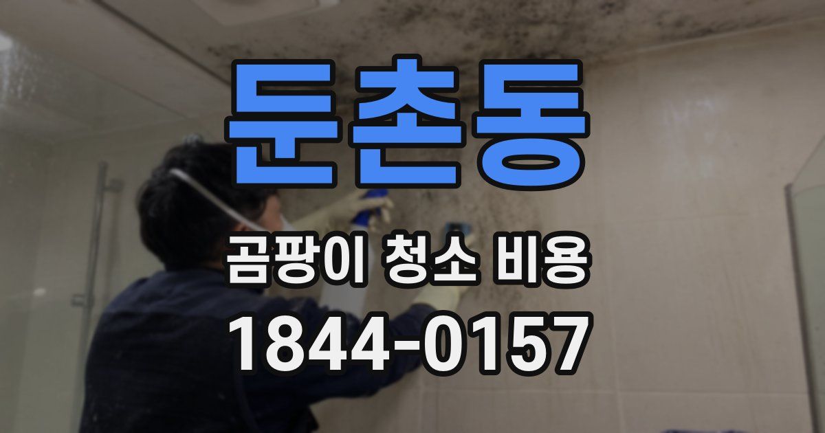 둔촌동 곰팡이 청소 비용