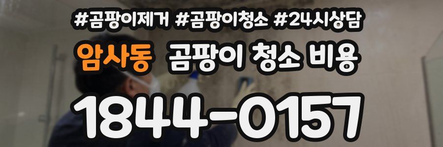 암사동 곰팡이 청소 비용