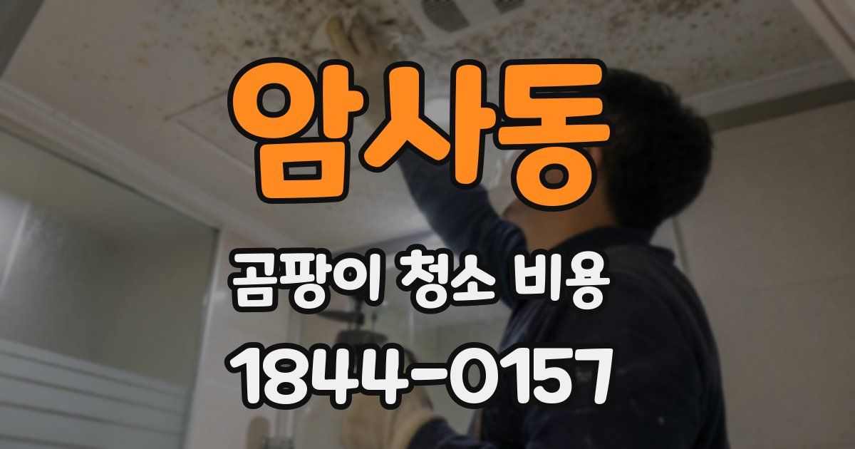 암사동 곰팡이 청소 비용