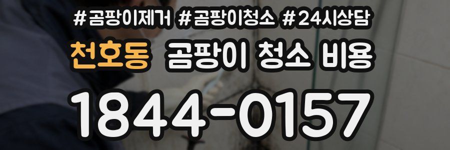 천호동 곰팡이 청소 비용