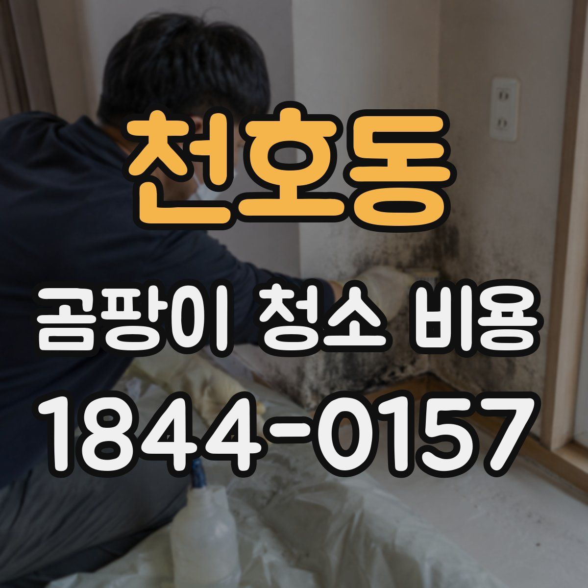 천호동 곰팡이 청소 비용
