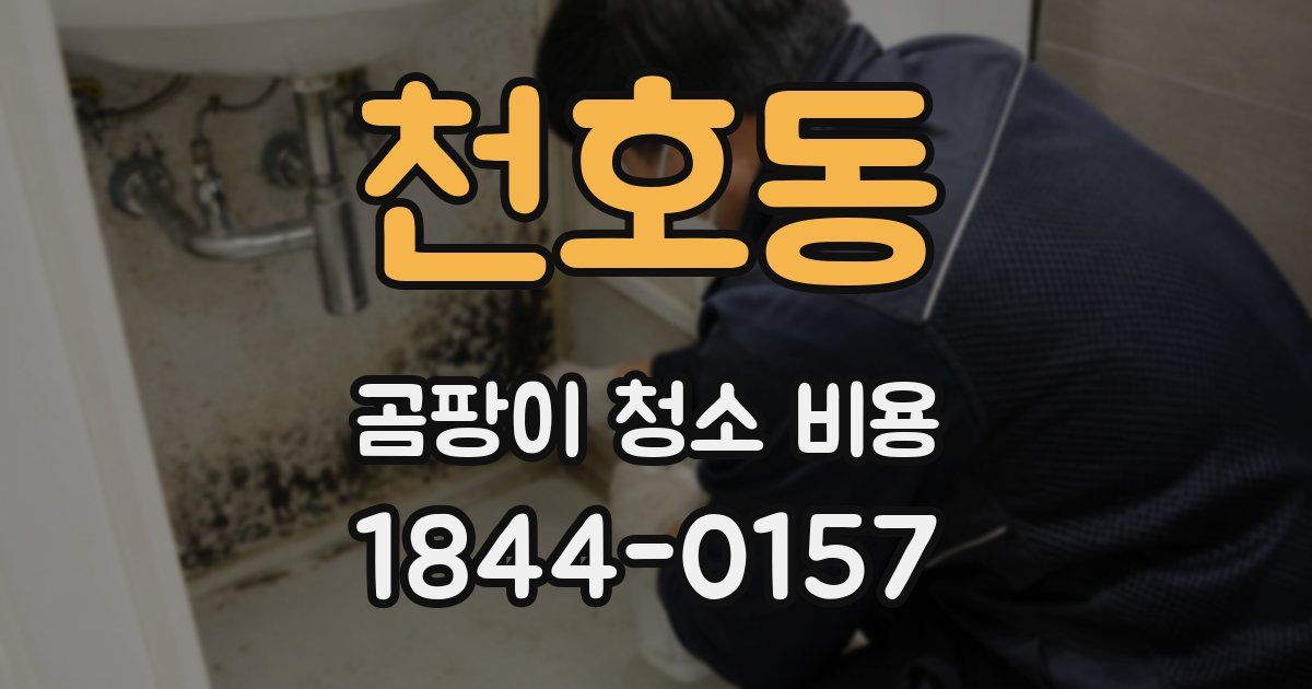 천호동 곰팡이 청소 비용