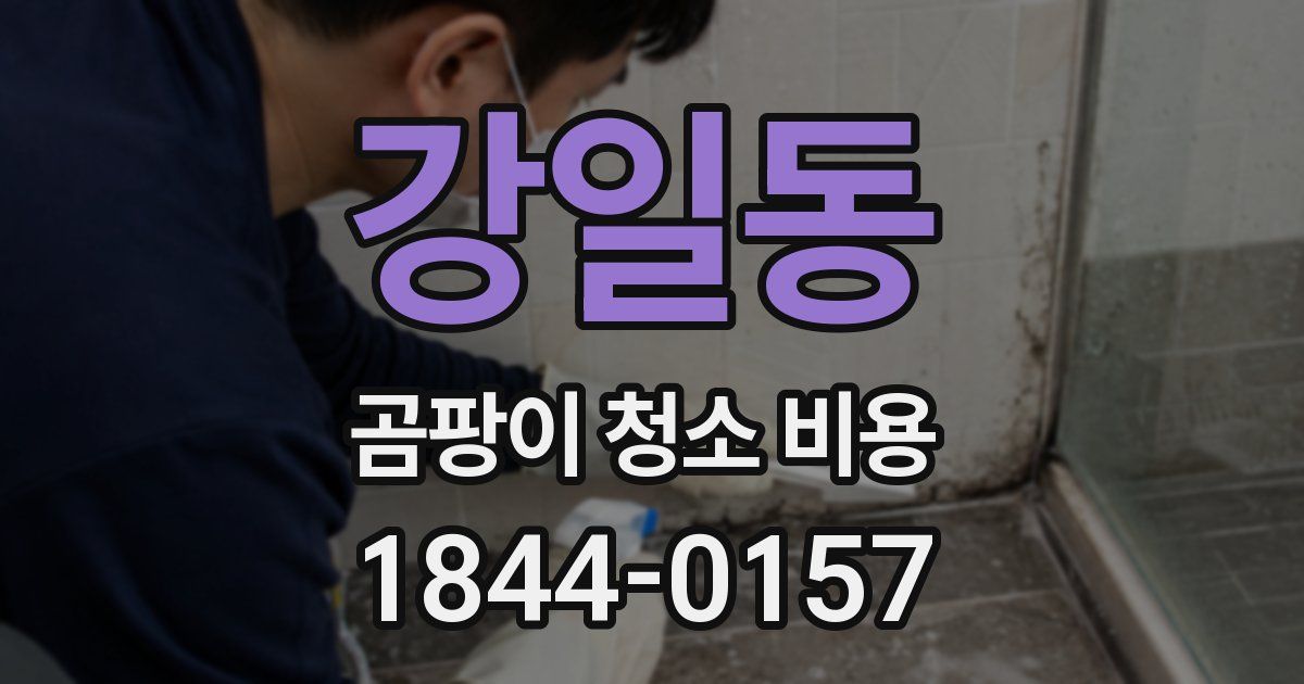 강일동 곰팡이 청소 비용