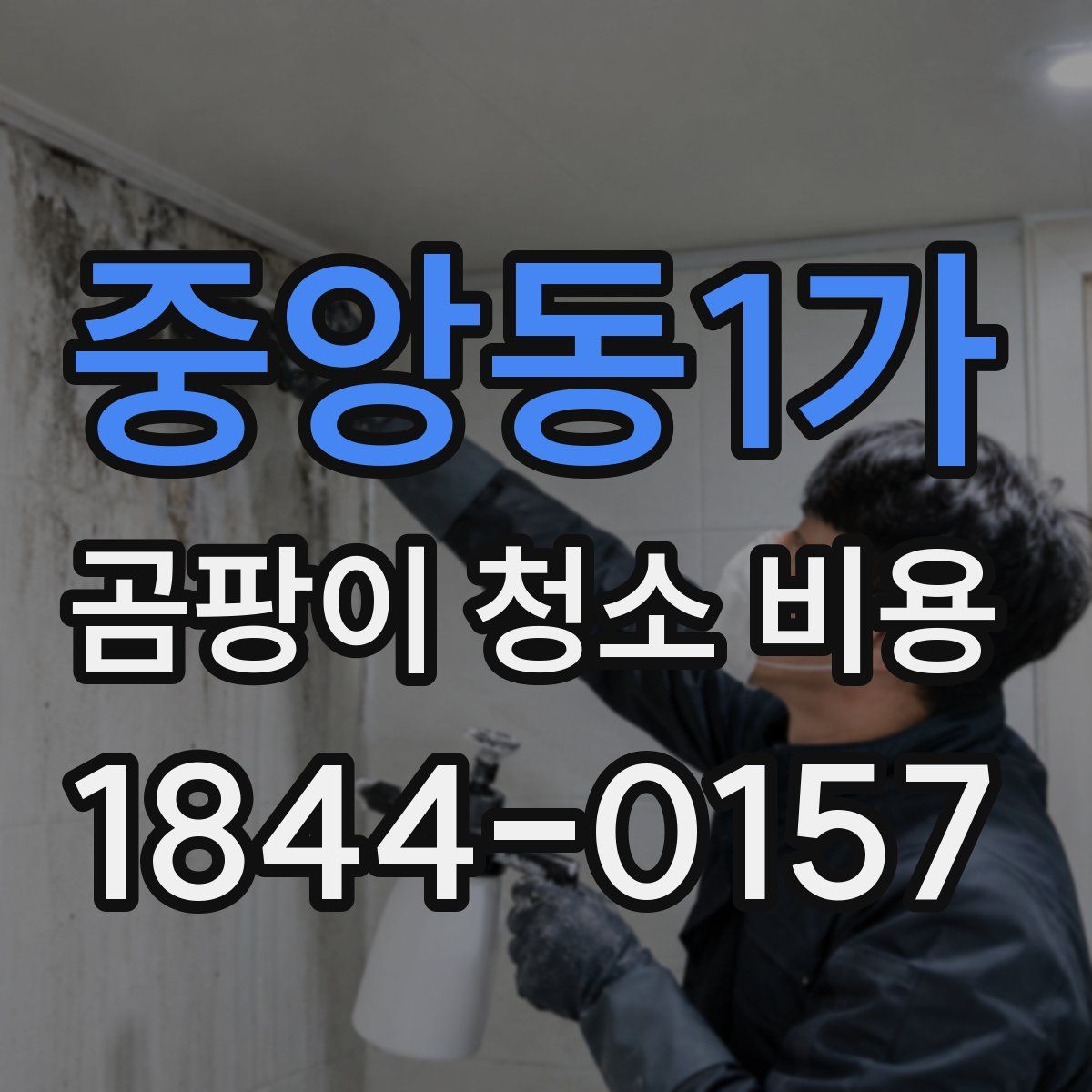 중앙동1가 곰팡이 청소 비용