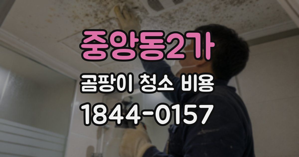 중앙동2가 곰팡이 청소 비용