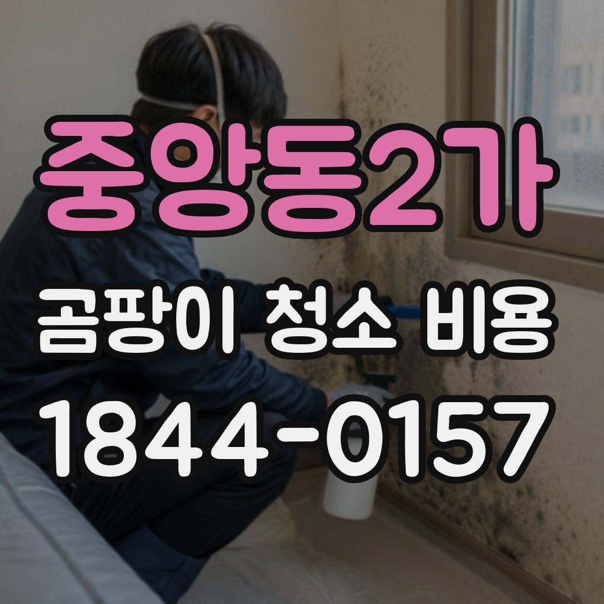 중앙동2가 곰팡이 청소 비용
