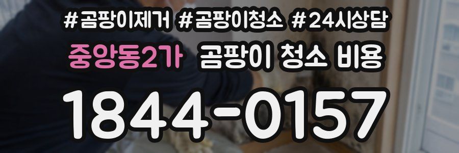 중앙동2가 곰팡이 청소 비용