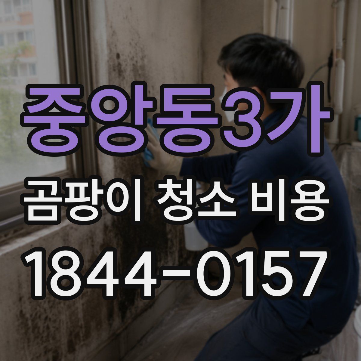 중앙동3가 곰팡이 청소 비용