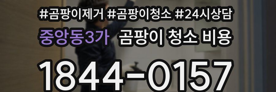 중앙동3가 곰팡이 청소 비용
