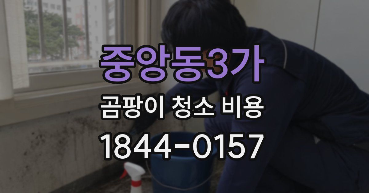 중앙동3가 곰팡이 청소 비용