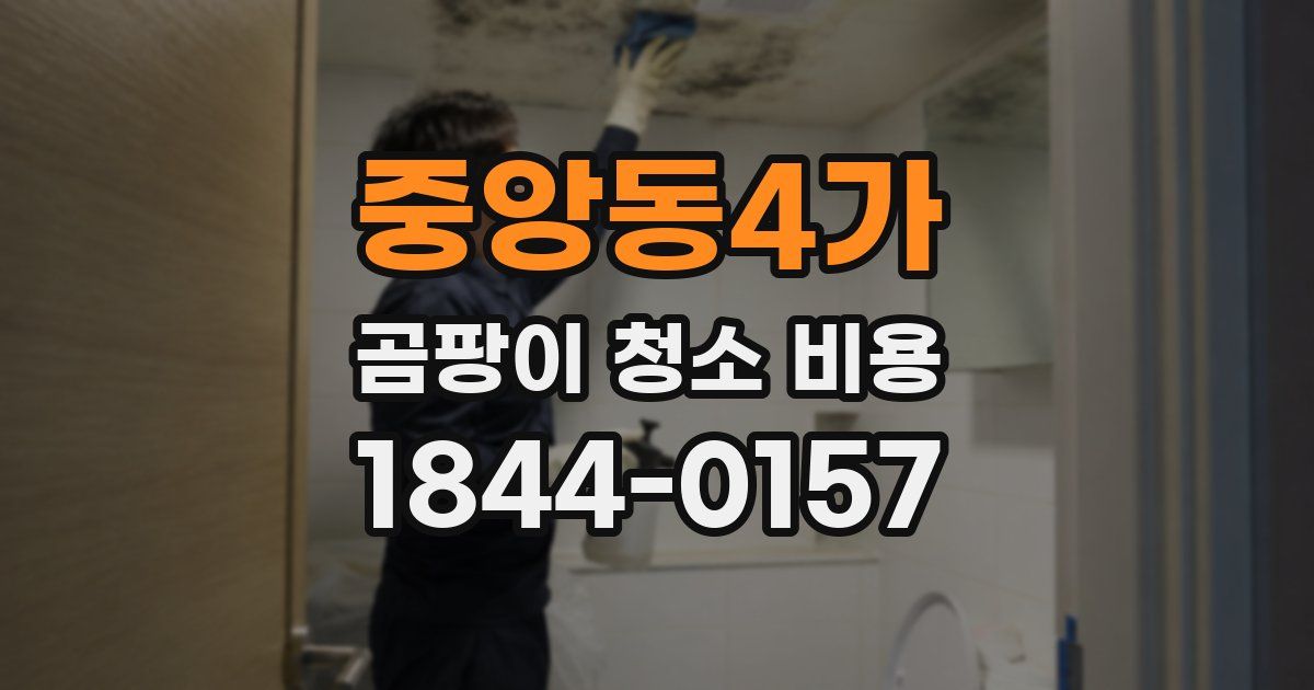 중앙동4가 곰팡이 청소 비용