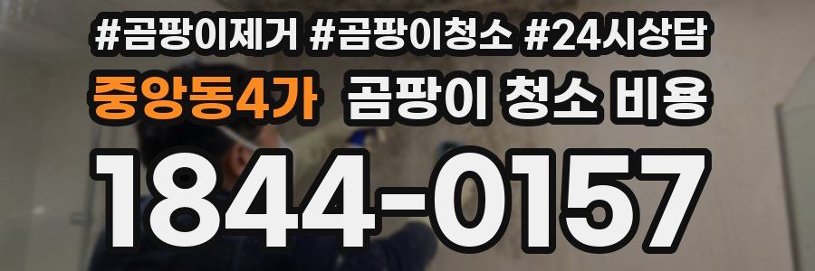 중앙동4가 곰팡이 청소 비용