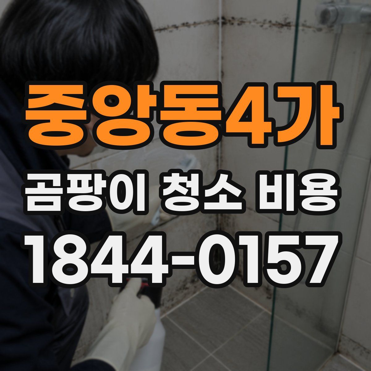 중앙동4가 곰팡이 청소 비용