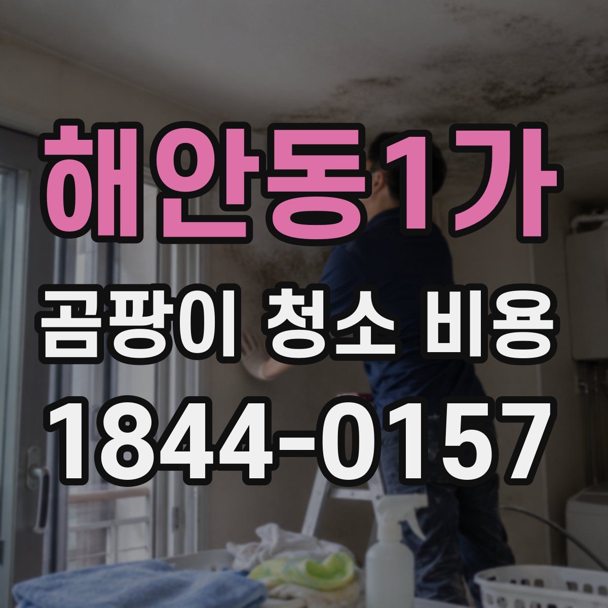 해안동1가 곰팡이 청소 비용