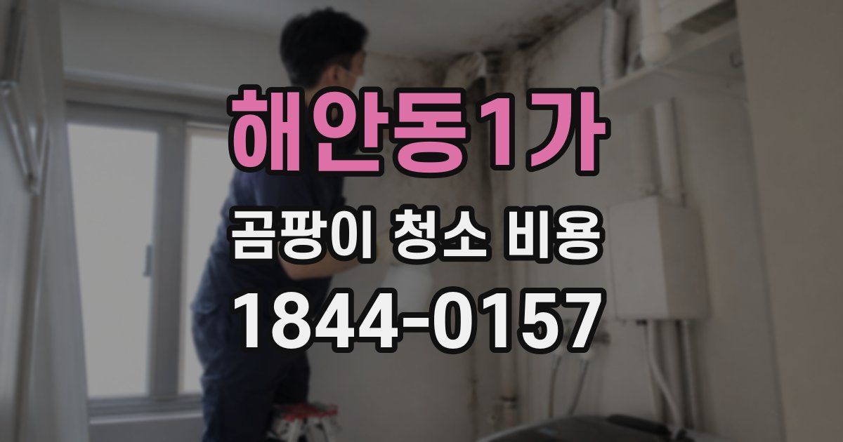 해안동1가 곰팡이 청소 비용